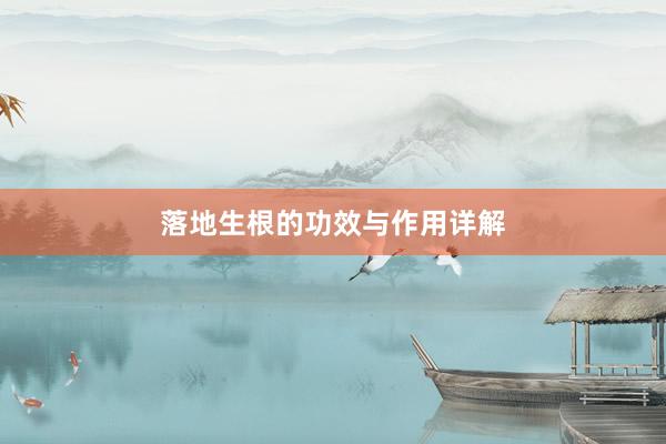 落地生根的功效与作用详解
